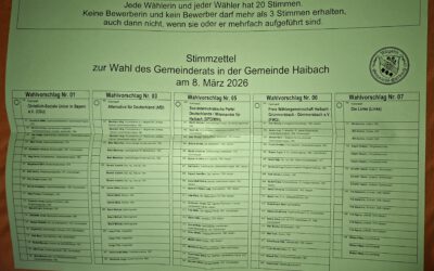 So wählst du richtig